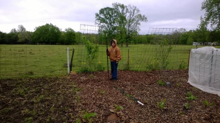 jonathan in the garden covering peach trees
